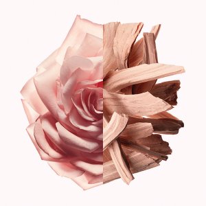 GIVENCHY Irresistible Nude Velvet EDP spray 50ml 2