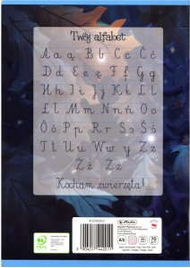 Zeszyt A5 32 kartki podwójna linia kolorowa 3linie 70g Wonder 10szt HERLITZ 4