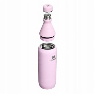 Stanley butelka All Day Slim 0.6L Cherry Blossom G 2