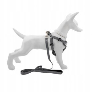 Zestaw, szelki+smycz, dla psa, srebrne, materia� nylon/PU, d�. smyczy 1,45m, rozmiar L 2