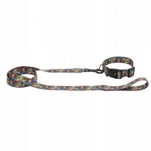 Smycz dla psa ta�ma Dream Party, 25mm/120cm 4