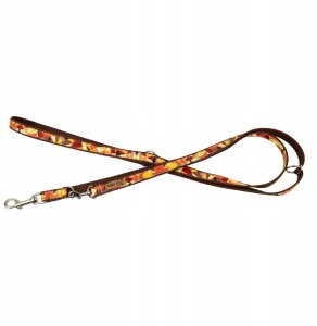 Smycz dla psa, wz�r jesie�, regulowana, ta�ma, 16MM/220CM br�zowa 4