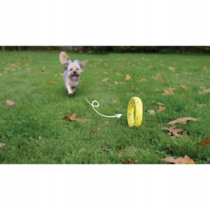 Zeus Nitro, ringo z gumowym rdzeniem, zabawka, dla psa, 16 cm 4