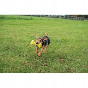 Zeus Nitro, ko��, zabawka, dla psa, 16 cm 4