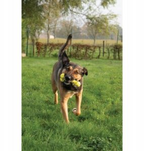 Zeus Nitro, ko��, zabawka, dla psa, 16 cm 5