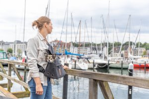 BE NORDIC�Plecak�Bjorn, czarny, 35 � 40 � 20 cm 24