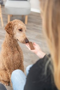 Zolux Premio Filets z jagnięciną 80g 6