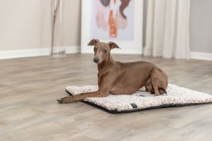 Calida, mata z wk��dk� odbijaj�c� ciep�o, dla psa/kota, bia�o/br�zowa, 140 x 85 cm 4