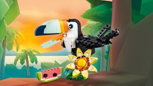 Creator Dzikie zwierzęta: Tropikalny tukan (31173) 5