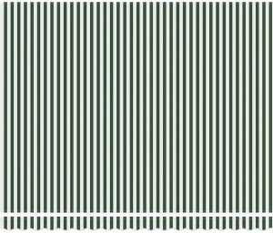 vidaXL Markiza zwijana Zielony i Biały 400x300 cm 6