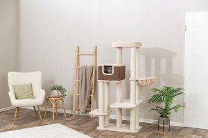 Bertholo, drapak stoj�cy, dla kota, kremowy/ciemnobr�zowy, 165 cm 2