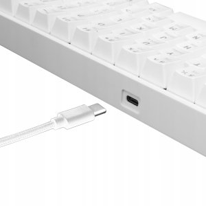 White Shark Shinobi-2 white blue switch 11