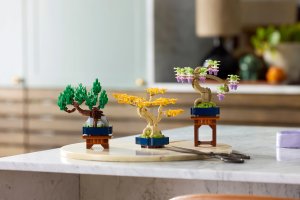 LEGO Botanicals Małe drzewka bonsai (10373) 2
