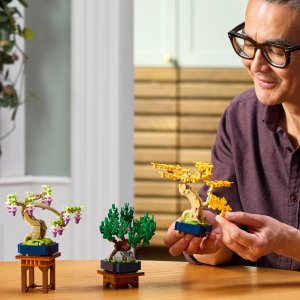 LEGO Botanicals Małe drzewka bonsai (10373) 3