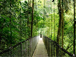 HP EliteBook 6 G1a 14 NGAI AMD Ryzen AI 5 340 14inch WUXGA 16GB 512GB PCIe NVMe W11P 1YW 30