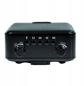 Głośnik DNA PPS1 głośnik Bluetooth akumulatorowy przenośny 4