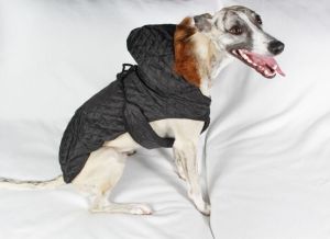 Grande Finale DERKA CZARNA PIKOWANA rozmiar 6 36cm 3