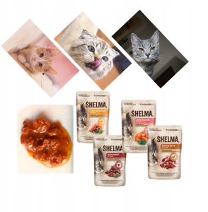 SHELMA saszetka - pełnoporcjowa bezzbożowa karma dla dorosłych kotów. Z kurczakiem, wołowiną, indykiem, kaczką 12x 85 g 4
