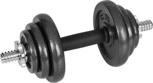 Hantle żeliwne regulowane w walizce z gryfem, zestaw 20kg REBEL ACTIVE 4