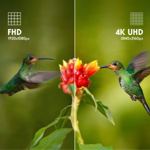 TV SET LCD 43" QLED 4K/WHITE 43UG4S14W THOMSON 10