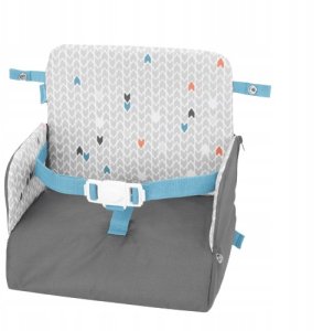 SHOE SCRAPER BRUSH MAT WD 2