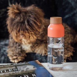 Quokka BUTELKA ECOZEN* NA WODĘ DO SZKOŁY, Pracy, BPA Free, Wytrzymała, 720 ml 4