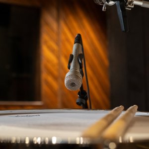 Warm Audio WA-19 - Mikrofon dynamiczny 4