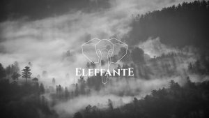 Ochraniacze rowerowe Fox Launch Pro Knee Guard - black rozmiar: m 3