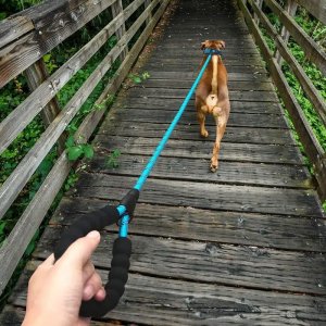 SMYCZ LINA TRENINGOWA DLA PSA GRUBA 3M ODBLASKOWA 4