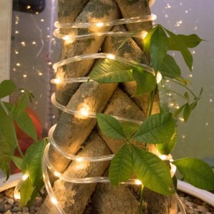 Girlanda LED solarna 100 LED czujnik zmierzchu 1W 4