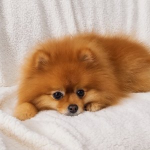 Koc dwustronny 150x200cm jasnoszary Ruhhy 26293 3