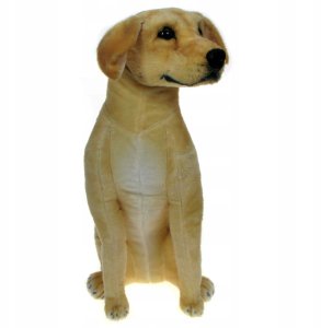 Pies Labrador 65cm 33574 2