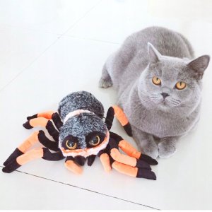 Maskotka pająk Z10394 81395 6