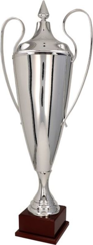 Tryumf Puchar metalowy srebrny T-D (1042-N/B) 1