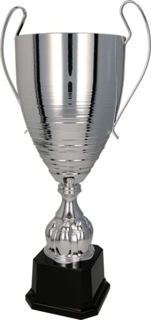 Tryumf Puchar metalowy srebrny T-D (2058B) 1