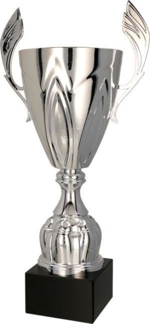 Tryumf Puchar metalowy srebrny (4127B) 1