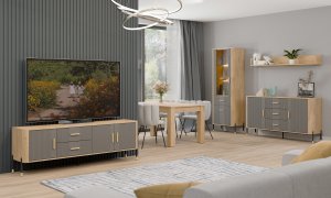 Komoda Szafka jednodrzwiowa z 3 szufladami Dąb Szary Złoty DANTE DT03 11