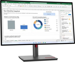 Monitor Lenovo LENOVO ThinkVision P27h-30 27inch 2560x1440 IPS 16:9 350cd/m2 HDMI DP USB Hub 2
