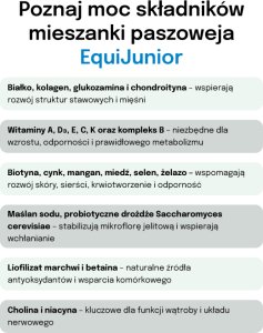 Lab-v EquiJunior Mieszanka paszowa uzupełniająca dla źrebiąt, wspierająca wzrost, rozwój i prawidłowe żywienie młodych koni i kucyków 2000g 6
