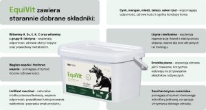 LAB V EquiVit Mieszanka paszowa dietetyczna dla koni i kucyków wspierająca odporność, układ kostno-stawowy oraz prawidłową przemianę meteboliczną 2000 g 4