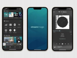 Cambridge Audio CXN100 8