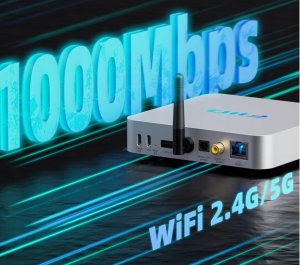 FiiO SR11 - silver - Odtwarzacz sieciowy audio 11