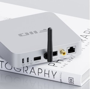 FiiO SR11 - silver - Odtwarzacz sieciowy audio 9