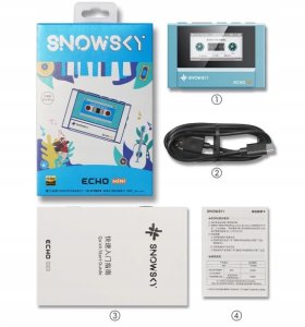 FiiO SNOWSKY ECHO MINI - black - Przenośny odtwarzacz Hi-Res 15