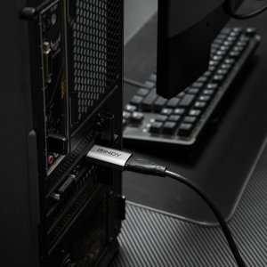 Lindy 41095 zmieniacz płci / kabli DisplayPort HDMI Type A Szary 3