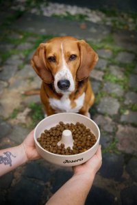 Josera Mother&Puppy Salmon&Rice 3kg 5