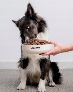 Josera Mother&Puppy Salmon&Rice 3kg 8