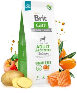 BRIT CARE Dog Grain-free Adult Large Breed Salmon 2x12kg 3