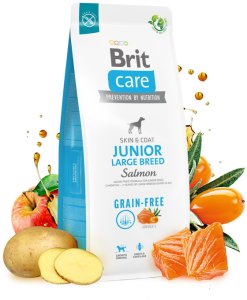 BRIT CARE Dog Grain-free Junior Large Breed Salmon 2x12kg 3