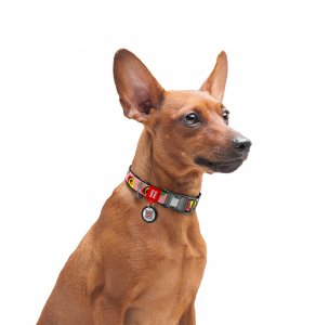 Collar WauDog Nylon Obroża nylonowa z QR-paszportem, plastikowy fastex, wzór AWOKADO NA RÓŻU, M 20mm/28-40cm 2